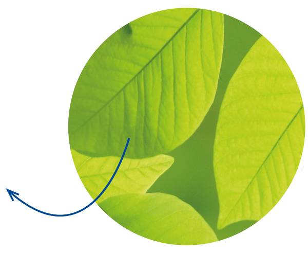 uitleg-horti-4